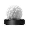 TENGA GEO CORAL 珊瑚球