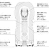 TENGA Rolling Head Cup 內部結構圖,顯示旋轉頭設計與多層突起區域。