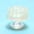 files/iroha-petit-shell-gel-texture.jpg