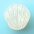 files/iroha-petit-shell-jelly-look.jpg