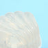 files/iroha-petit-shell-texture-closeup.jpg