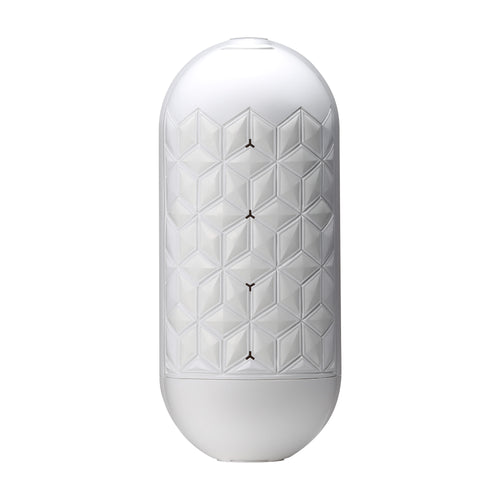 TENGA FLIP FLEXY