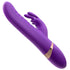 products/erocome-canisminor-right.webp